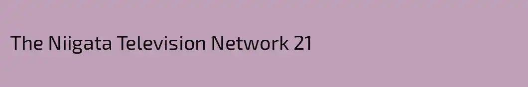 The Niigata Television Network 21